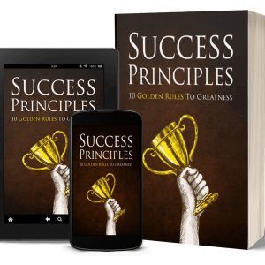Success Principles mini course