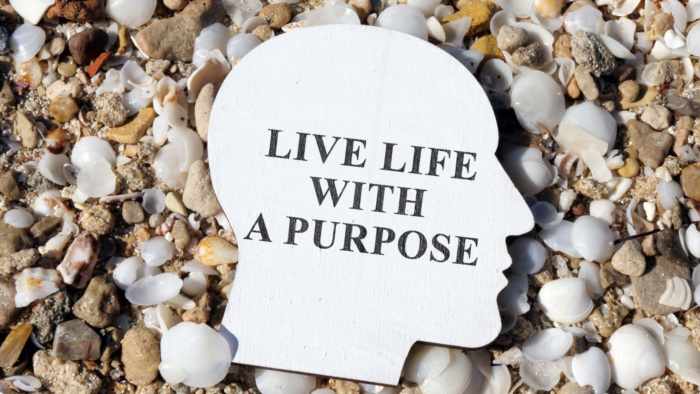 live life with a purpose